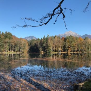 Pejzaże za oknami w Krajni